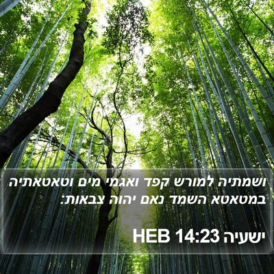 ישעיה 14:23 HEB Bible Verse Image