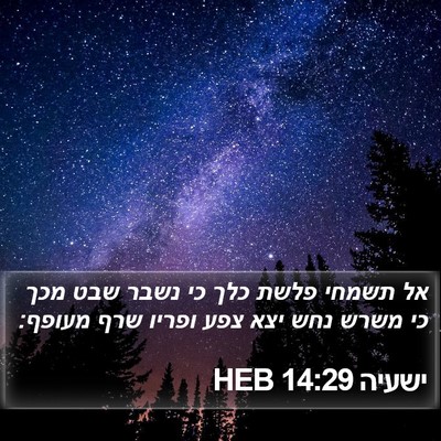 ישעיה 14:29 HEB Bible Verse Image