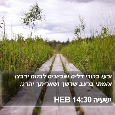 ישעיה 14:30 HEB Bible Verse Image