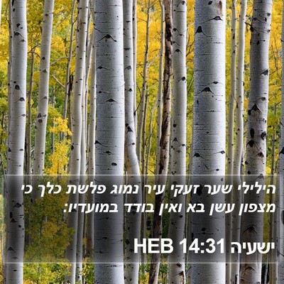 ישעיה 14:31 HEB Bible Verse Image