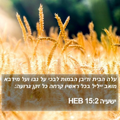ישעיה 15:2 HEB Bible Verse Image