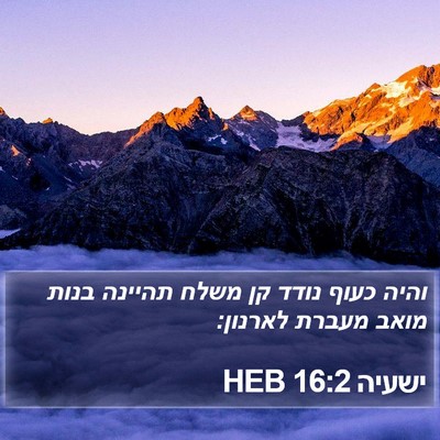 ישעיה 16:2 HEB Bible Verse Image