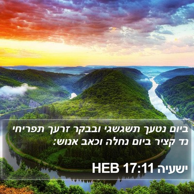 ישעיה 17:11 HEB Bible Verse Image