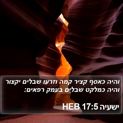 ישעיה 17:5 HEB Bible Verse Image