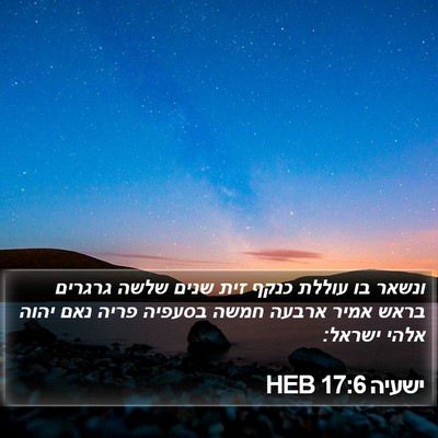 ישעיה 17:6 HEB Bible Verse Image