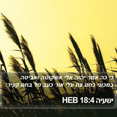 ישעיה 18:4 HEB Bible Verse Image
