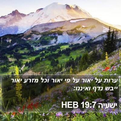 ישעיה 19:7 HEB Bible Verse Image