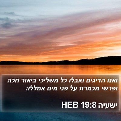 ישעיה 19:8 HEB Bible Verse Image