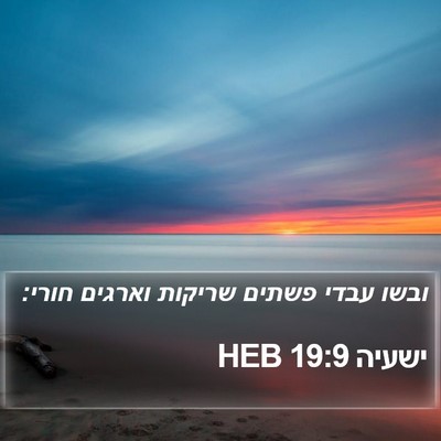 ישעיה 19:9 HEB Bible Verse Image