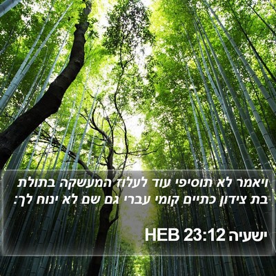 ישעיה 23:12 HEB Bible Verse Image