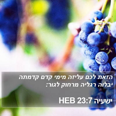 ישעיה 23:7 HEB Bible Verse Image