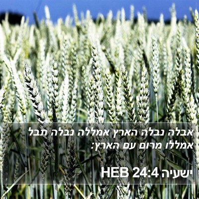 ישעיה 24:4 HEB Bible Verse Image