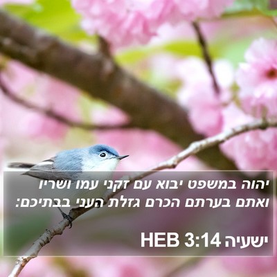 ישעיה 3:14 HEB Bible Verse Image