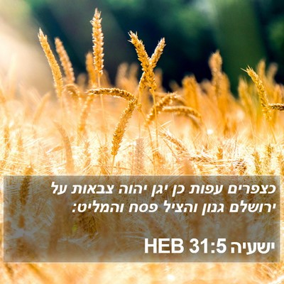 ישעיה 31:5 HEB Bible Verse Image