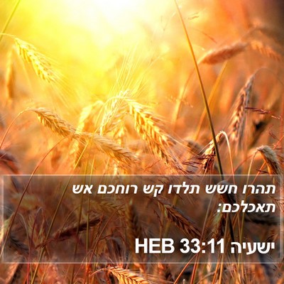 ישעיה 33:11 HEB Bible Verse Image