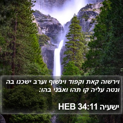 ישעיה 34:11 HEB Bible Verse Image