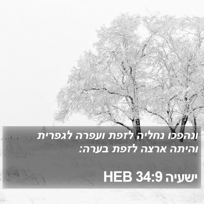 ישעיה 34:9 HEB Bible Verse Image