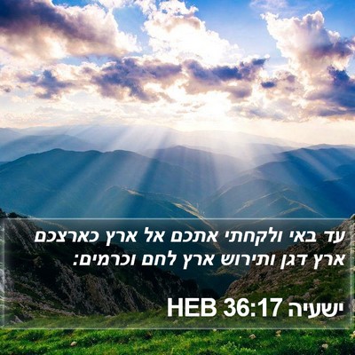 ישעיה 36:17 HEB Bible Verse Image