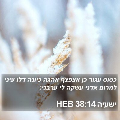 ישעיה 38:14 HEB Bible Verse Image