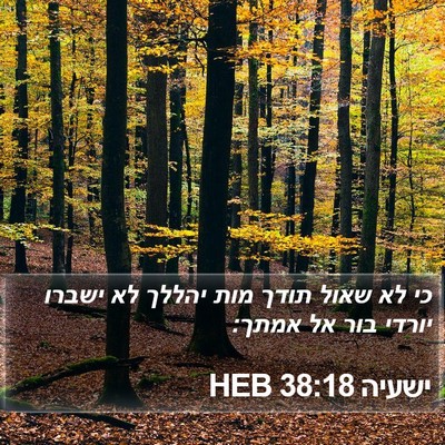 ישעיה 38:18 HEB Bible Verse Image