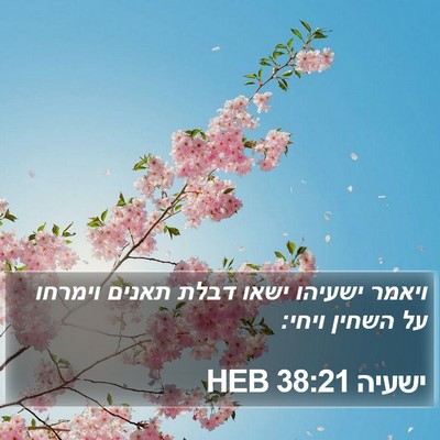 ישעיה 38:21 HEB Bible Verse Image