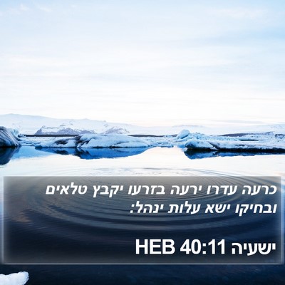 ישעיה 40:11 HEB Bible Verse Image