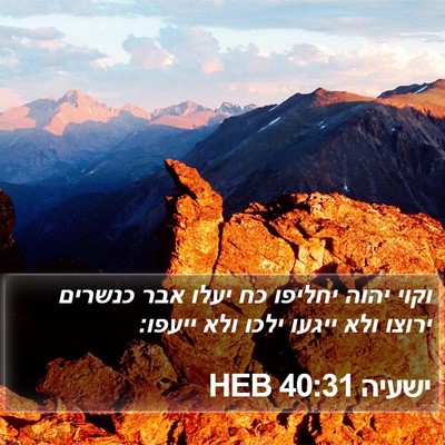 ישעיה 40:31 HEB Bible Verse Image