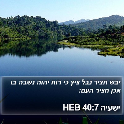ישעיה 40:7 HEB Bible Verse Image