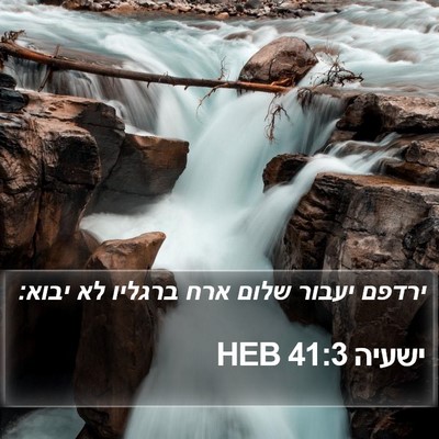 ישעיה 41:3 HEB Bible Verse Image