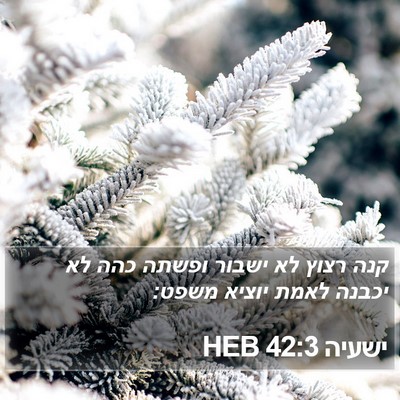 ישעיה 42:3 HEB Bible Verse Image