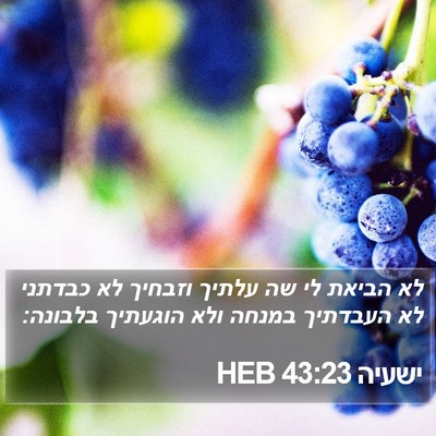 ישעיה 43:23 HEB Bible Verse Image