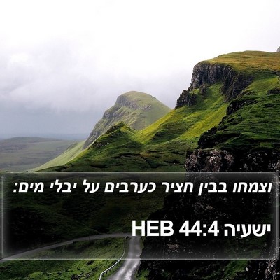 ישעיה 44:4 HEB Bible Verse Image