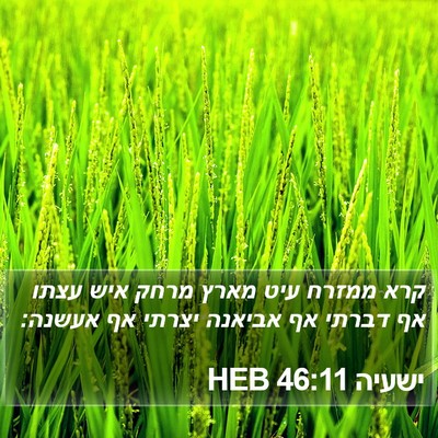 ישעיה 46:11 HEB Bible Verse Image