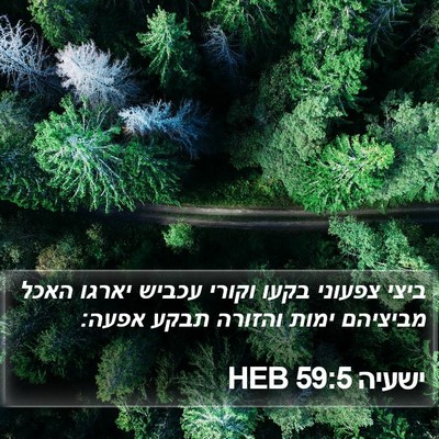 ישעיה 59:5 HEB Bible Verse Image