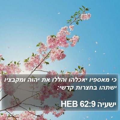 ישעיה 62:9 HEB Bible Verse Image