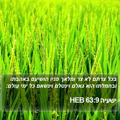 ישעיה 63:9 HEB Bible Verse Image