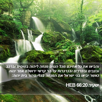 ישעיה 66:20 HEB Bible Verse Image
