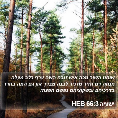 ישעיה 66:3 HEB Bible Verse Image