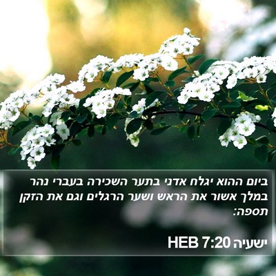 ישעיה 7:20 HEB Bible Verse Image