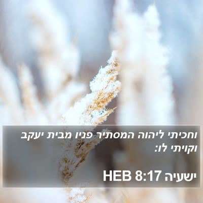 ישעיה 8:17 HEB Bible Verse Image