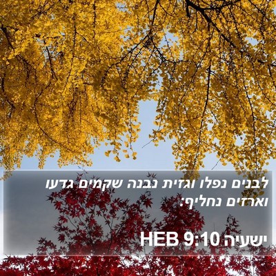 ישעיה 9:10 HEB Bible Verse Image