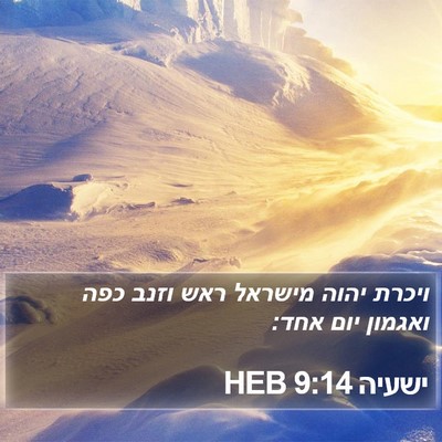 ישעיה 9:14 HEB Bible Verse Image