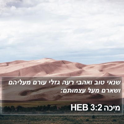 מיכה 3:2 HEB Bible Verse Image
