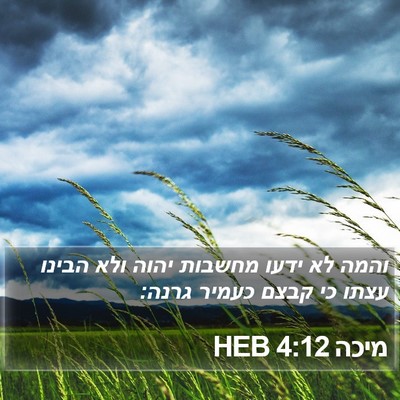 מיכה 4:12 HEB Bible Verse Image