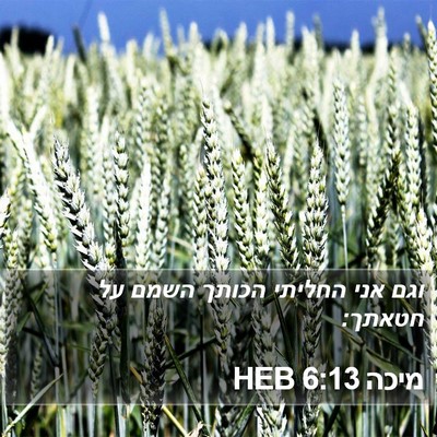 מיכה 6:13 HEB Bible Verse Image