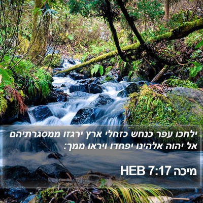 מיכה 7:17 HEB Bible Verse Image