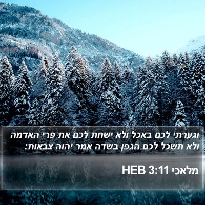 מלאכי 3:11 HEB Bible Verse Image