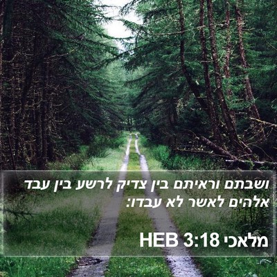 מלאכי 3:18 HEB Bible Verse Image