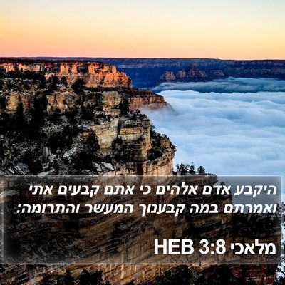 מלאכי 3:8 HEB Bible Verse Image