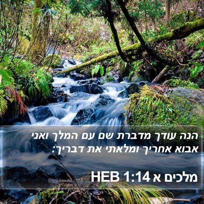 מלכים א 1:14 HEB Bible Verse Image